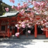 淡嶋神社